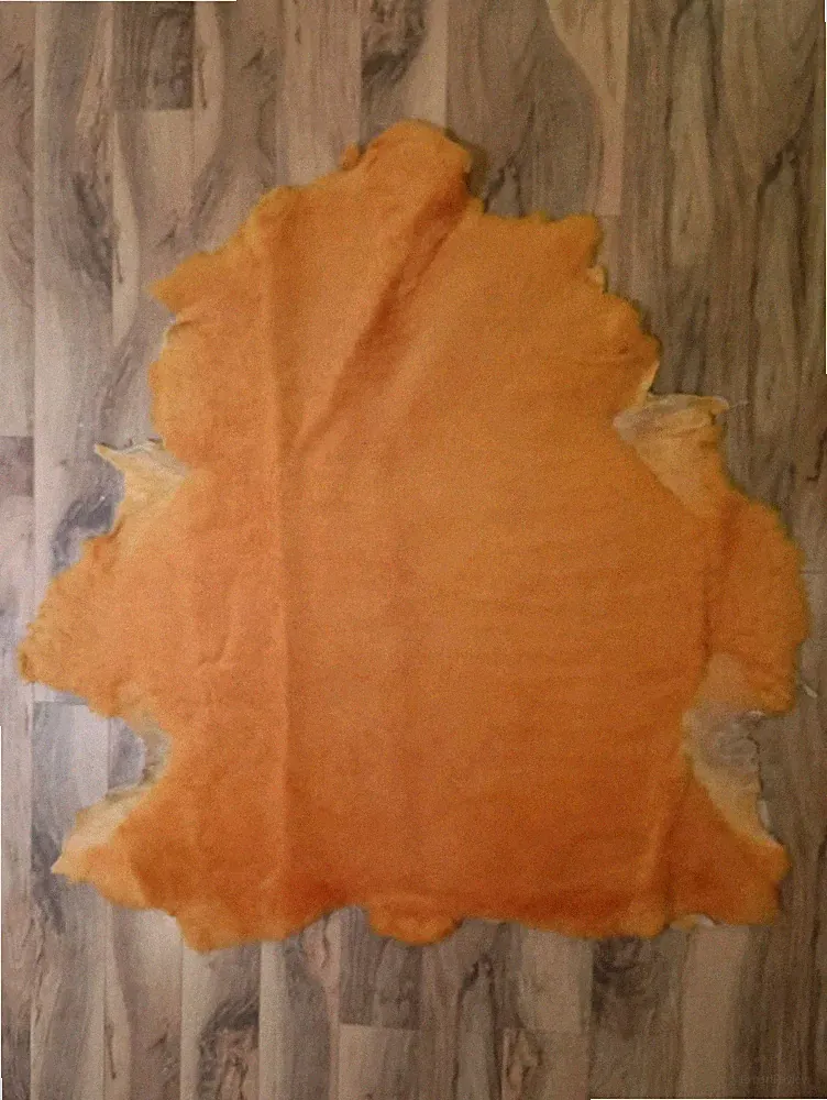 12' Sheared Golden Shearling Sheep Lamb Wool for Saddle - Whole Hide