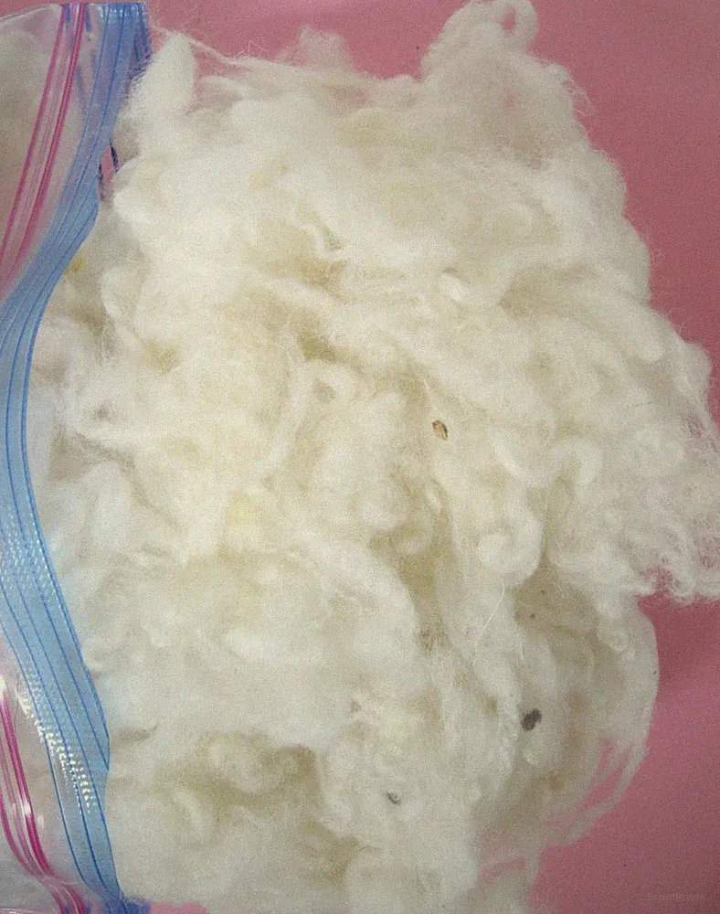 6 oz. Raw White Sheep Wool for Crafts, Doll Hair, Santa Beard