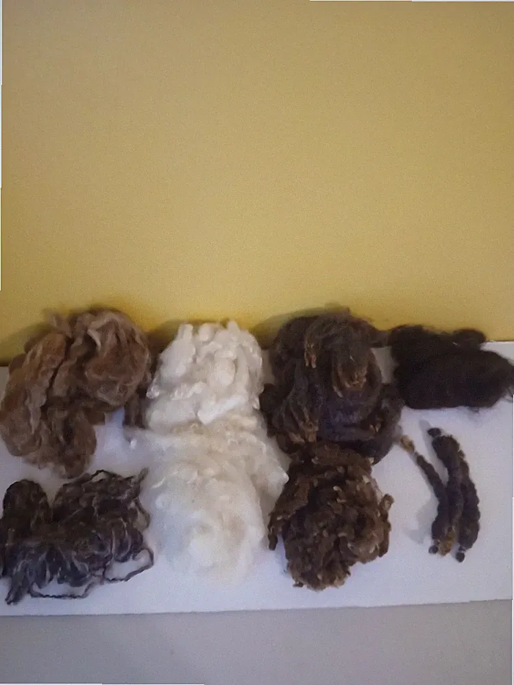 Sheep's Wool For Crafts And Doll Hair Clean Various Colors